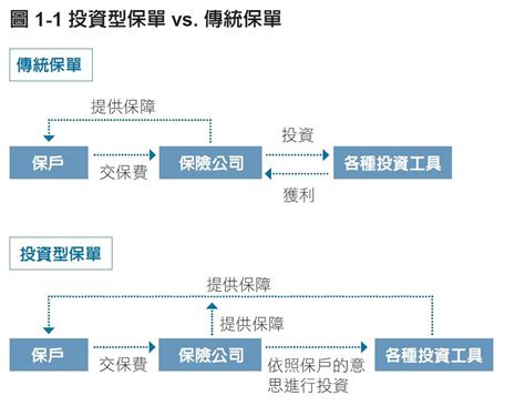 投資型保單甲乙丙丁戊|投資型保單是什麼？傳統保單VS.自行投資差異在哪？。